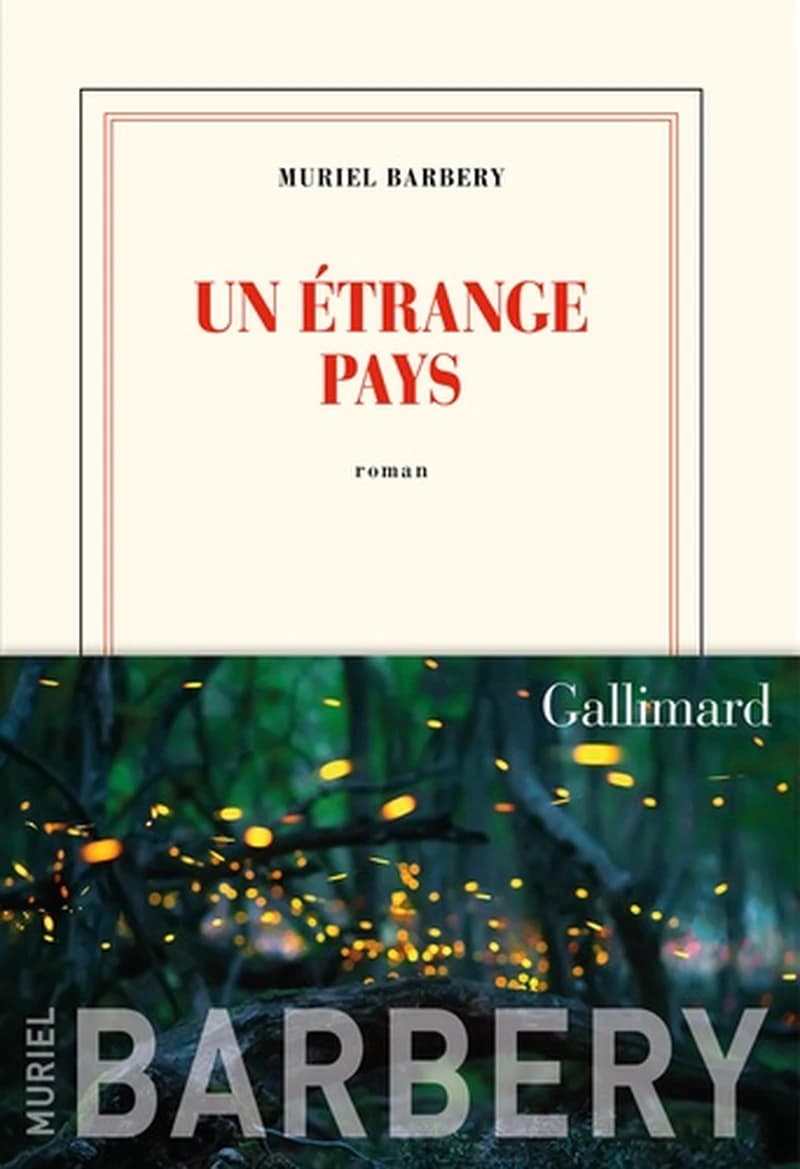 Un étrange pays : roman