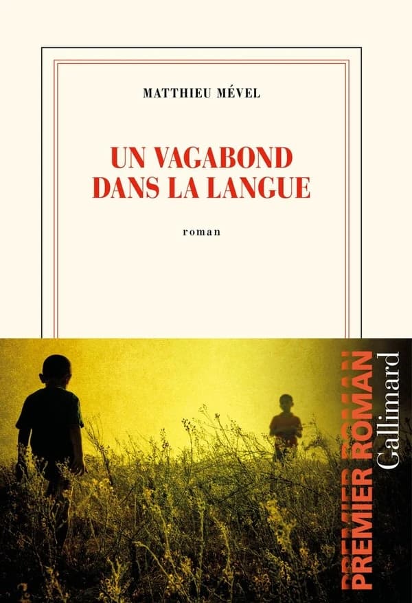 Un vagabond dans la langue : roman