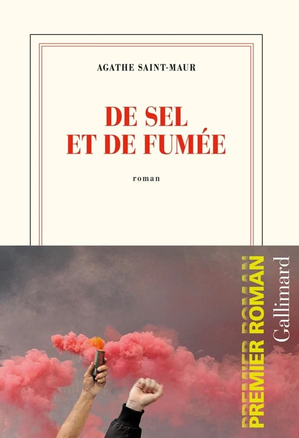 De sel et de fumée : roman