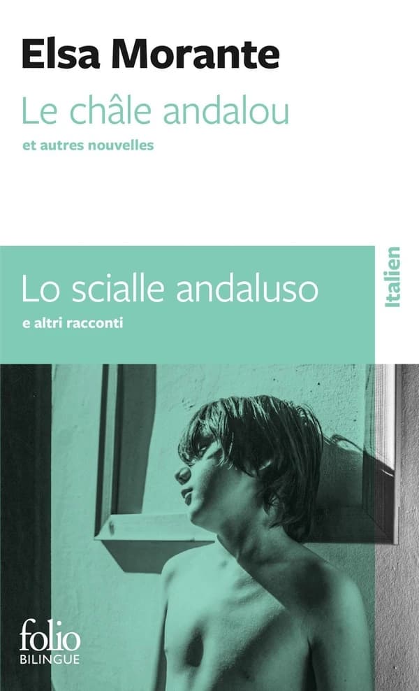 Le châle andalou : et autres nouvelles