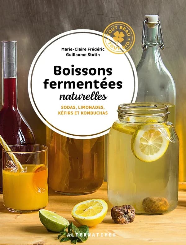 Boissons fermentées naturelles : sodas, limonades, kéfirs et kombuchas