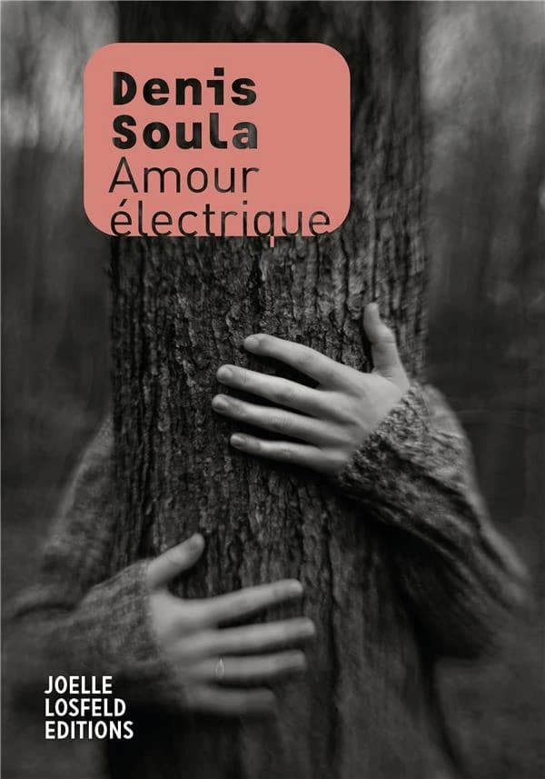 Amour électrique : roman
