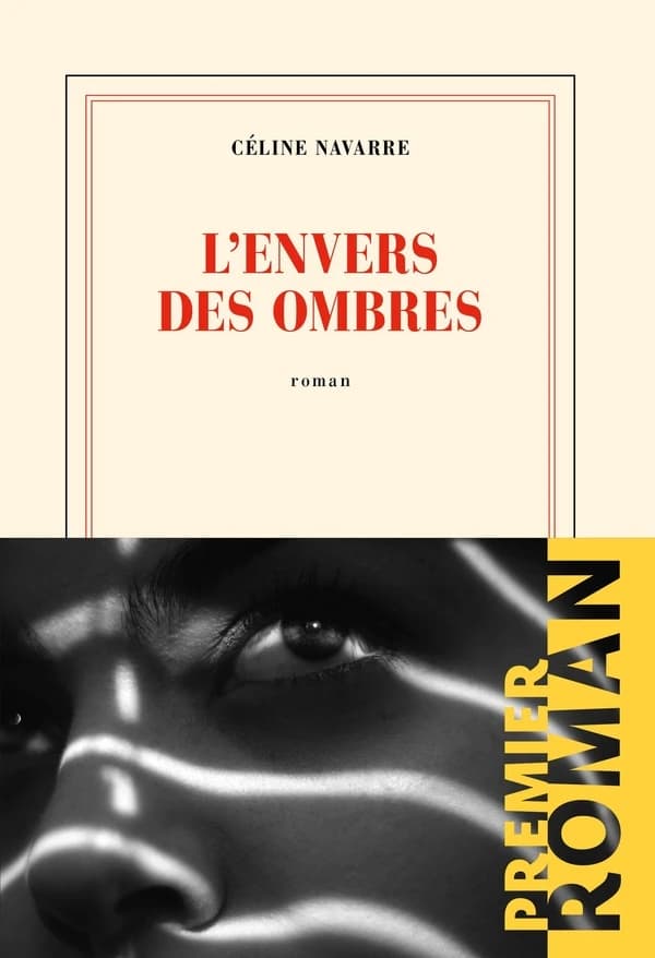 L'envers des ombres : roman