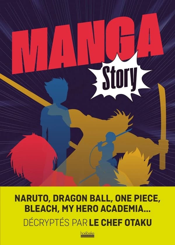 Manga story : le manga shōnen