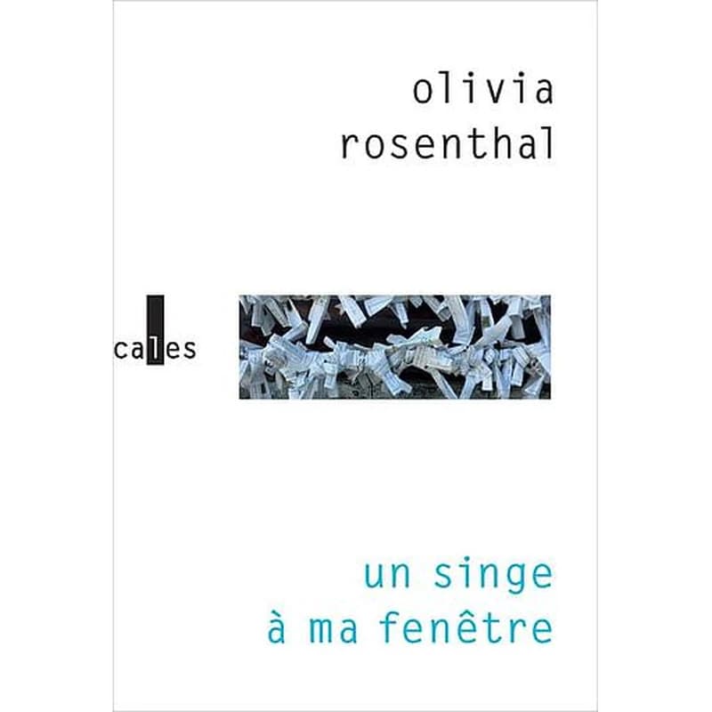 Un singe à ma fenêtre