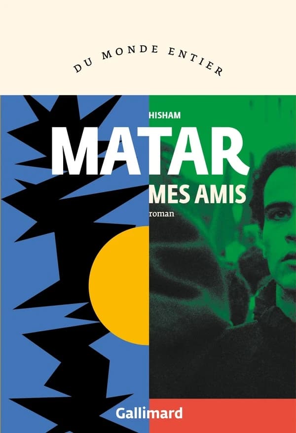 Mes amis : roman