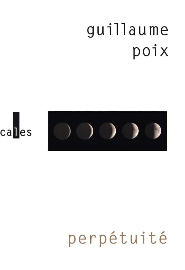 Perpétuité : roman