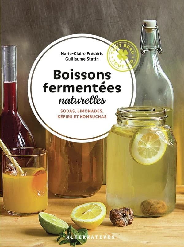 Boissons fermentées naturelles : sodas, limonades, kefirs et kombuchas