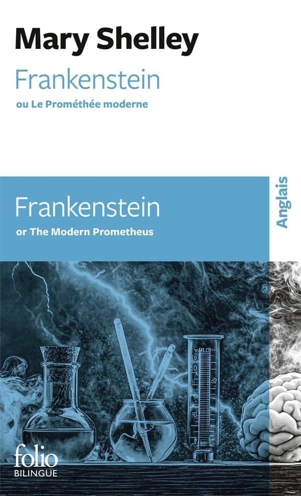 Frankenstein : ou Le Prométhée modern (Nouvelle éd.)