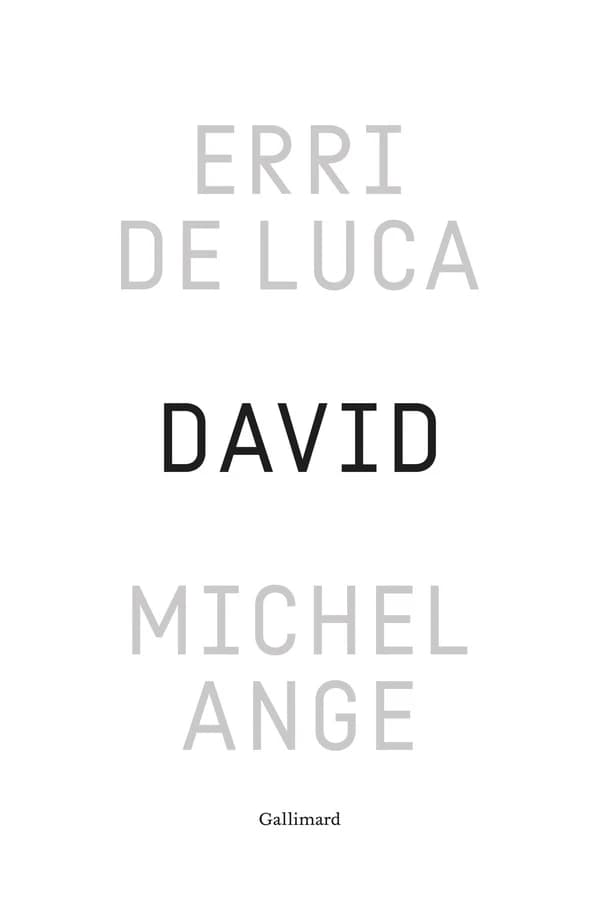 David, Michel-Ange : enquête sur une disproportion