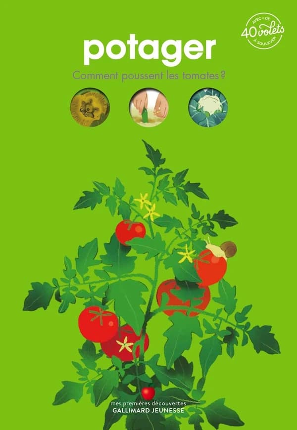 Potager : comment poussent les tomates ?, avec + de 40 volets à soulever