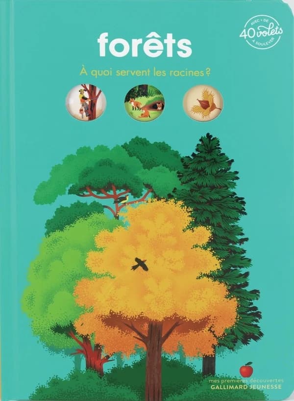 Forêts