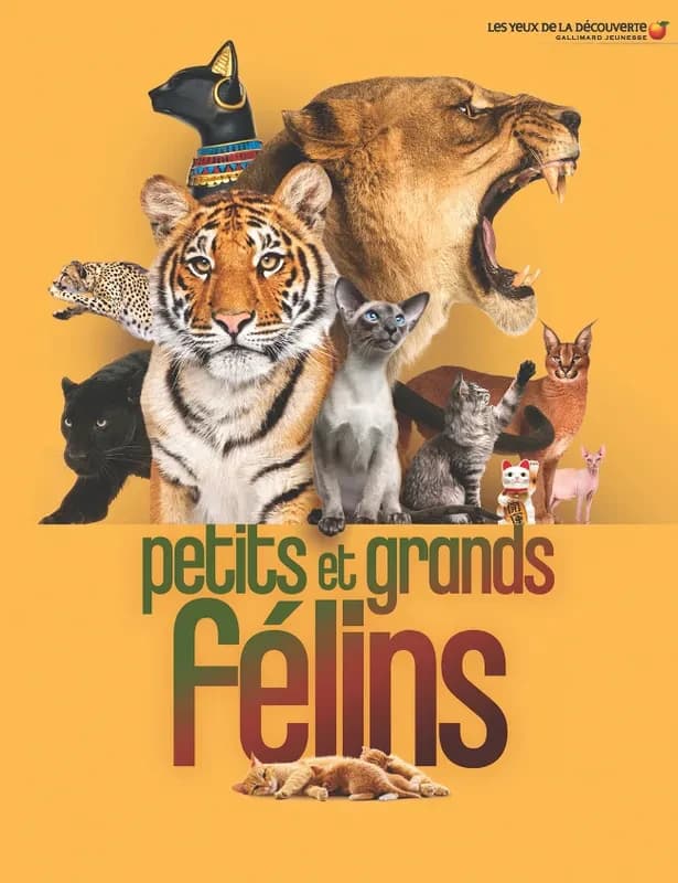 Petits et grands félins