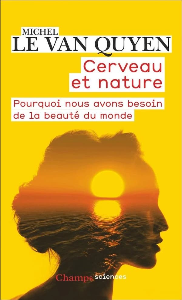 Cerveau et nature : Pourquoi nous avons besoin de la beauté du monde