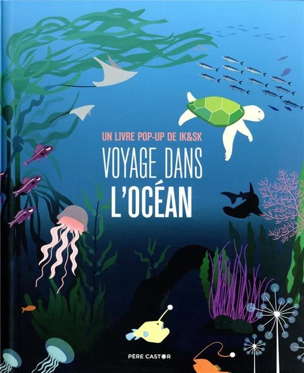 Voyage dans l'océan