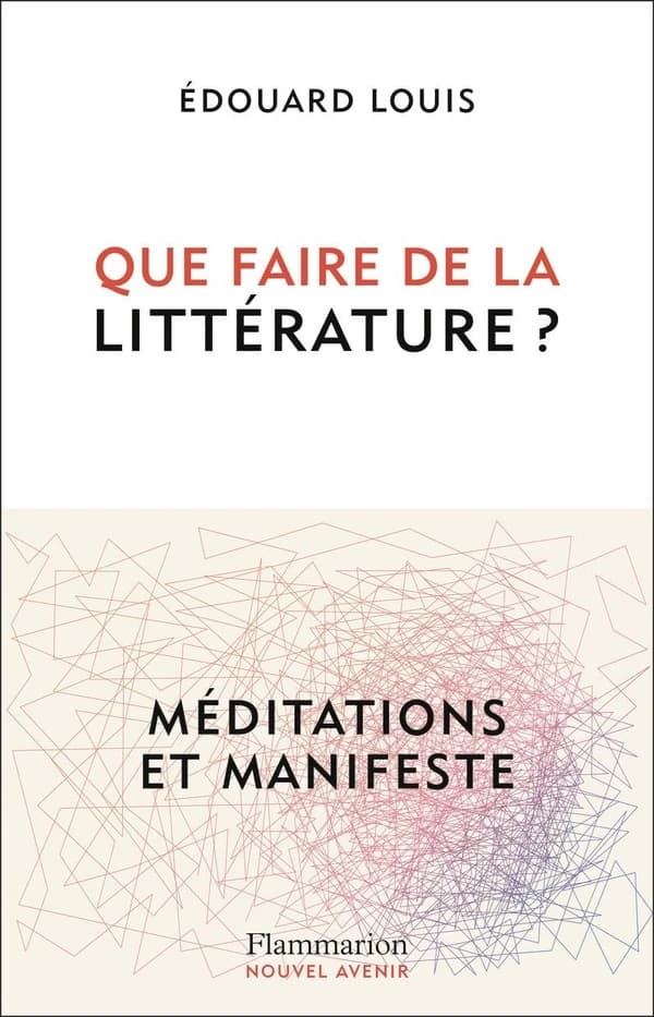 Que faire de la littérature ? : méditations et manifeste : entretiens avec Mary Kairidi