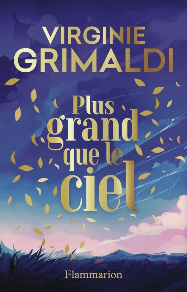 Plus grand que le ciel : roman