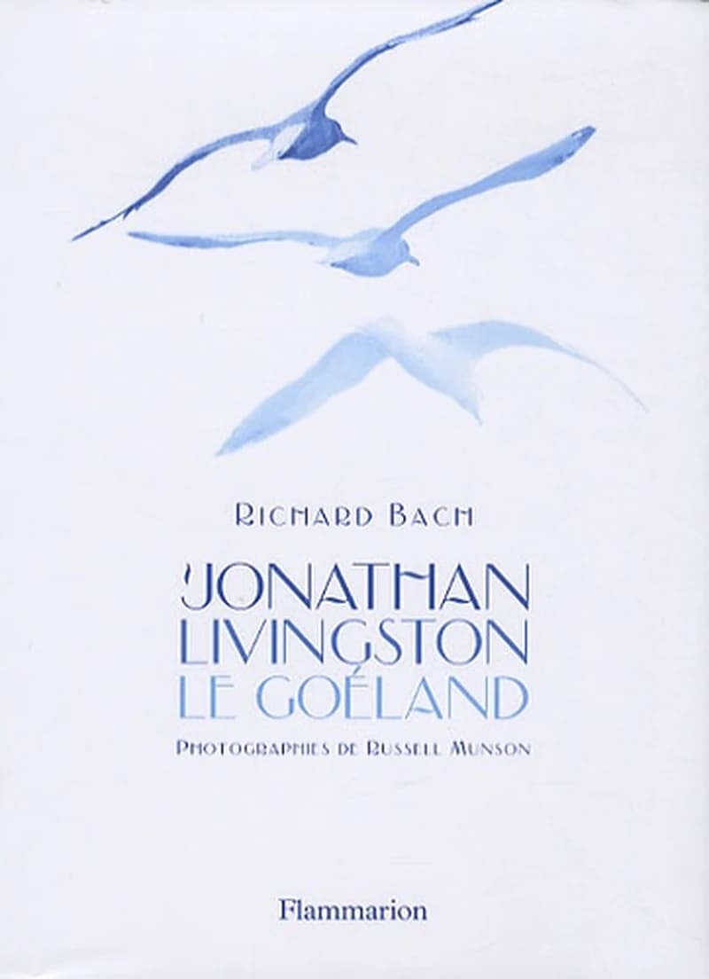Jonathan Livingston le goéland