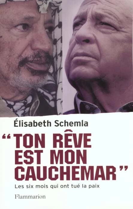 Ton rêve est mon cauchemar : les six mois qui ont tué la paix