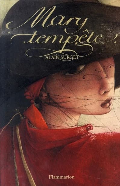 Mary Tempête : le destin d'une femme pirate