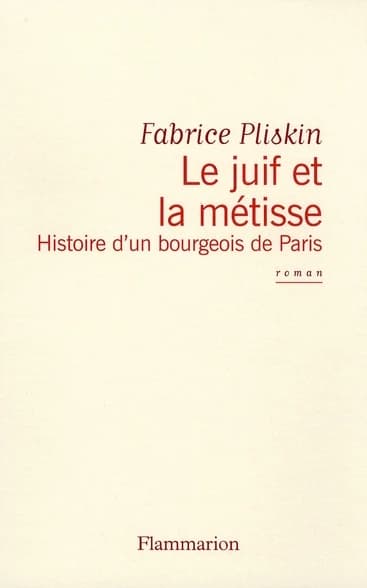 Le juif et la métisse : histoire d'un bourgeois de Paris : roman