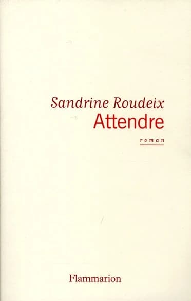 Attendre : roman