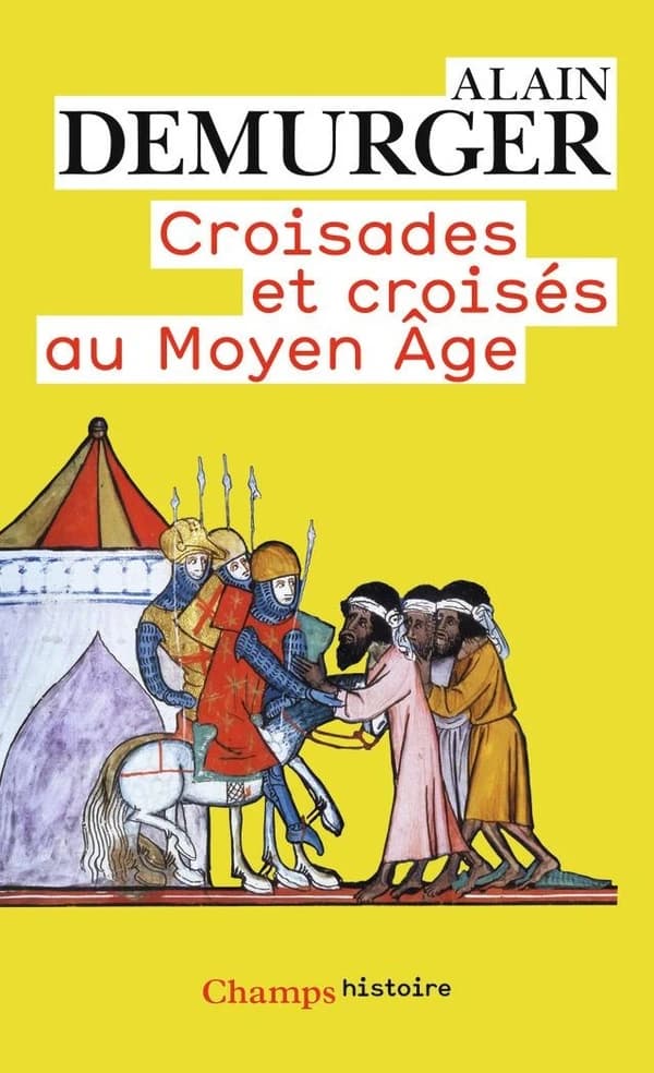 Croisades et croisés au Moyen âge ([Nouvelle éd.]) Alain Demurger