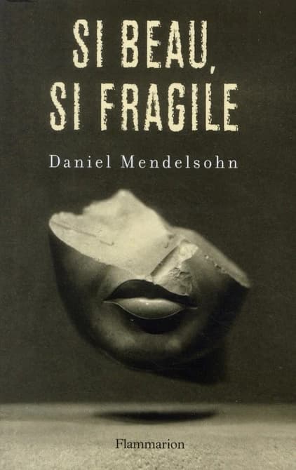 Si beau, si fragile : essais critiques