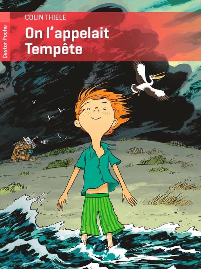 On l'appelait Tempête (Nouvelle édition) Colin Thiele ; traduit de l'anglais (Australie) par Anne-Marie Chapouton ; illustrations Gérard Franquin