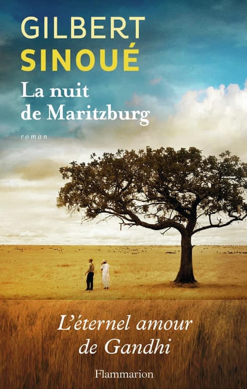 La nuit de Maritzburg : roman
