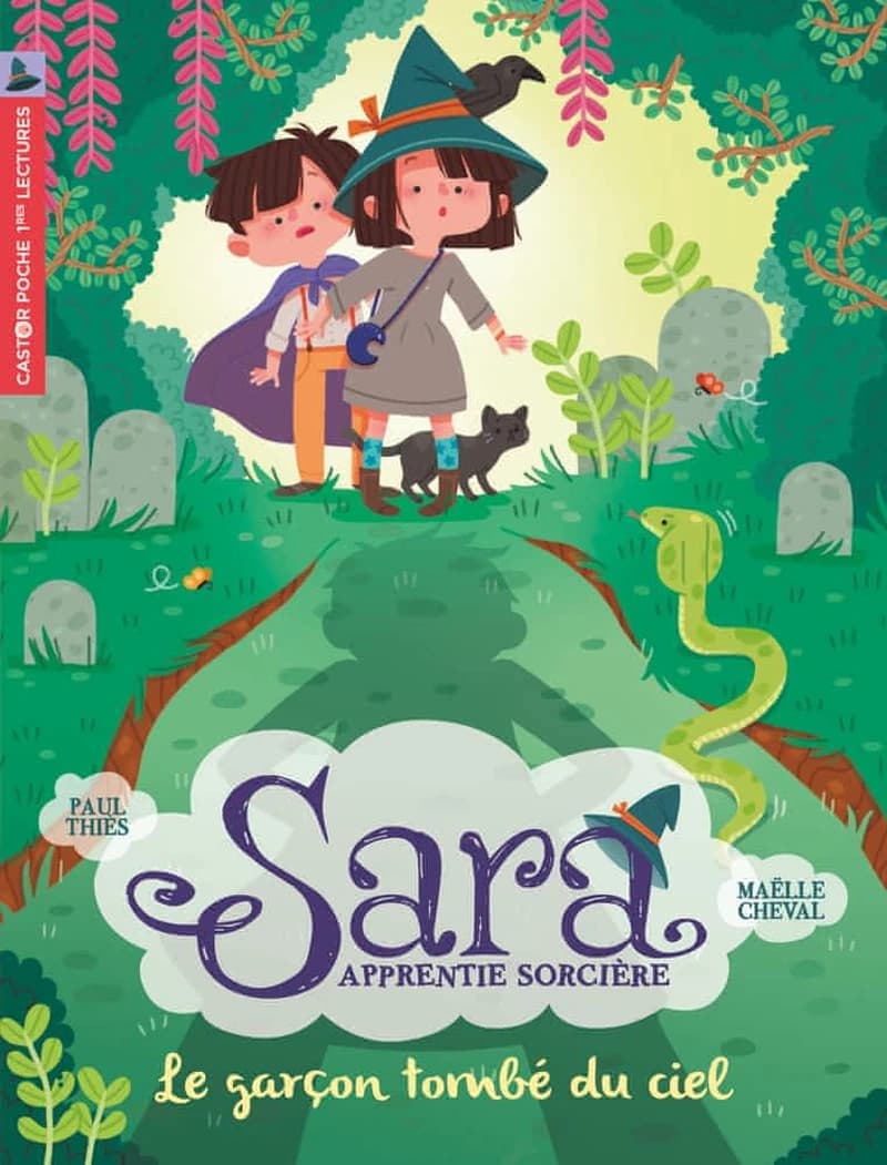 Sara apprentie sorcière. 1, Le garçon tombé du ciel