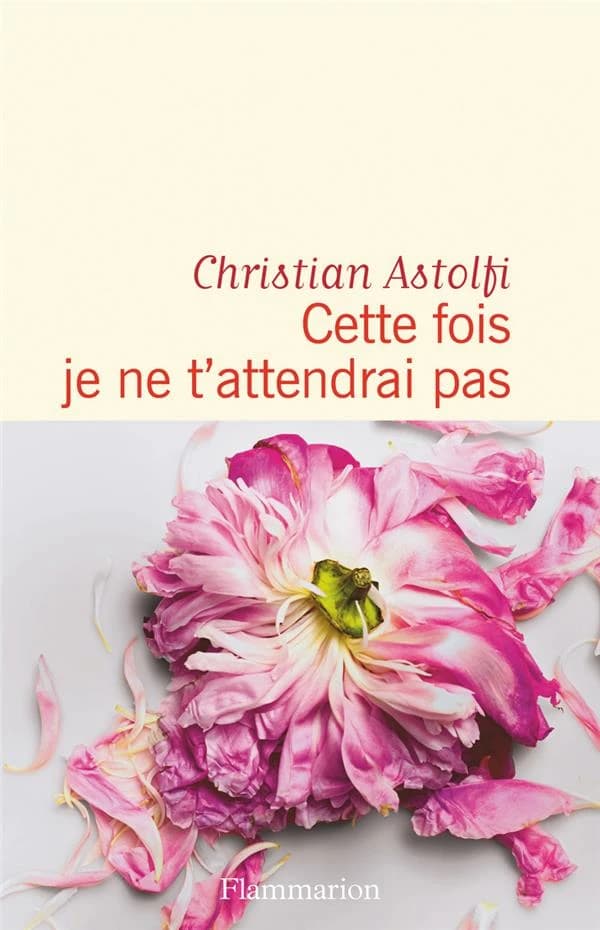 Cette fois je ne t'attendrai pas : roman