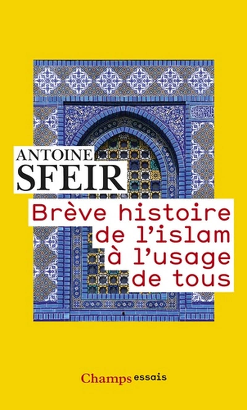 Brève histoire de l'islam à l'usage de tous (Nouv. éd. revue et augmentée) Antoine Sfeir