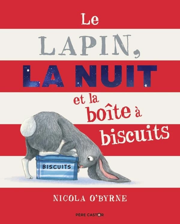Le lapin, la nuit et la boîte à biscuit