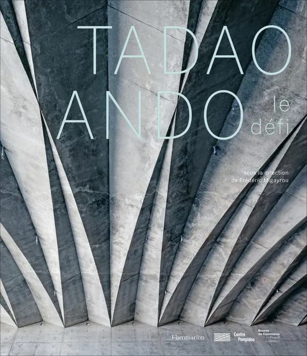 Tadao Ando : Le défi