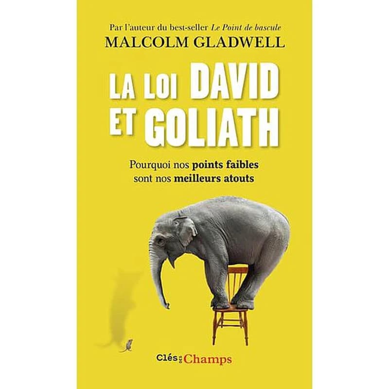 La loi David et Goliath : pourquoi nos points faibles sont nos meilleurs atouts