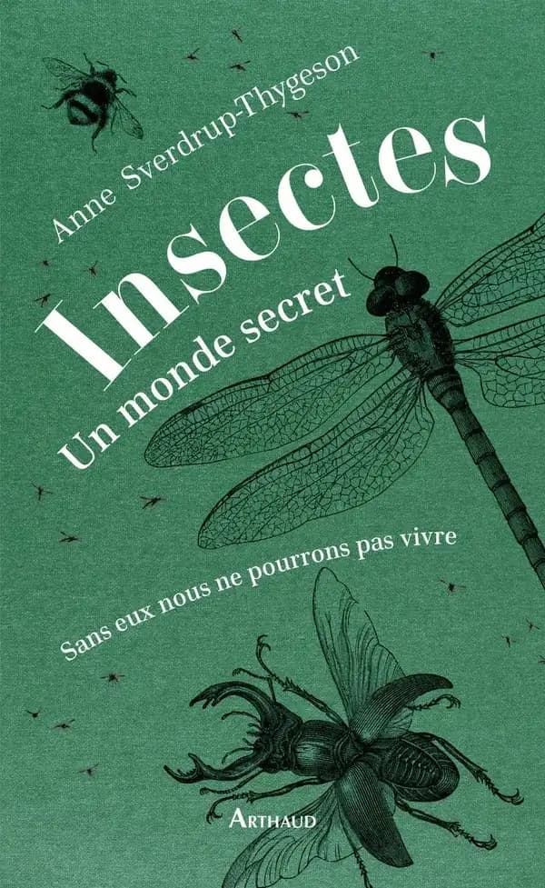 Insectes, un monde secret : sans eux nous ne pourrions pas vivre