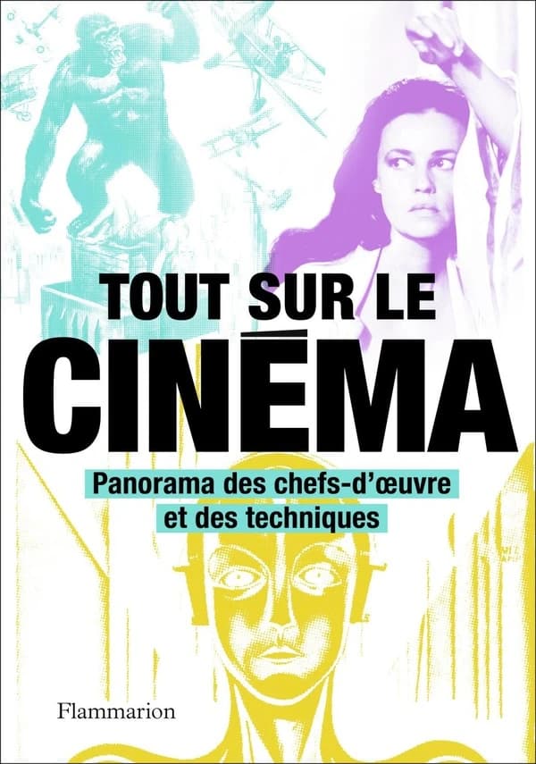 Tout sur le cinéma : panorama des chefs-d'œuvre et des techniques (Éd. revue et augmentée) sous la direction de Philip Kemp