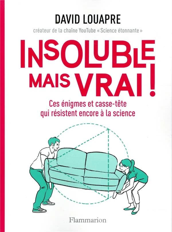 Insoluble mais vrai ! : ces énigmes et casse-tête qui résistent encore à la science ([Nouvelle éd.]) David Louapre ; illustrations de Lison Bernet