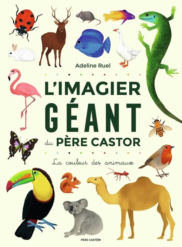 La couleur des animaux