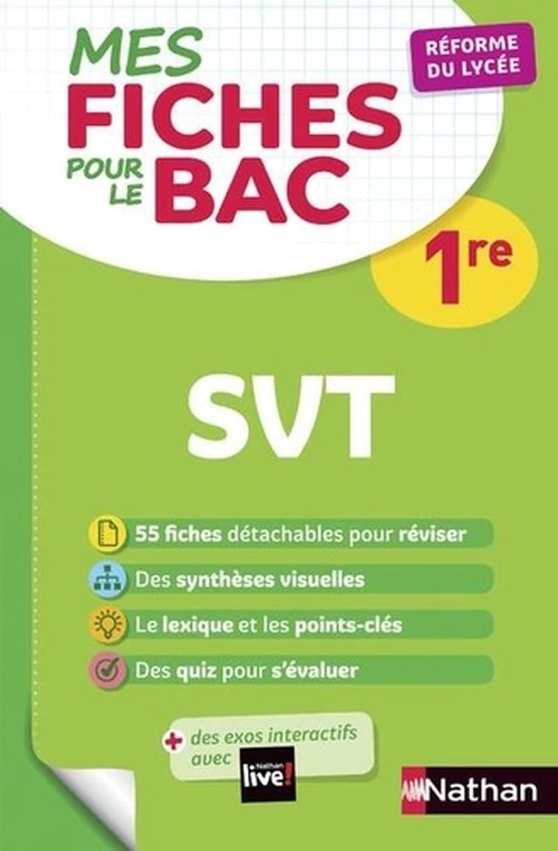 MES FICHES ABC DU BAC Tome 27 : sciences et vie de la terre ; 1re (édition 2019)