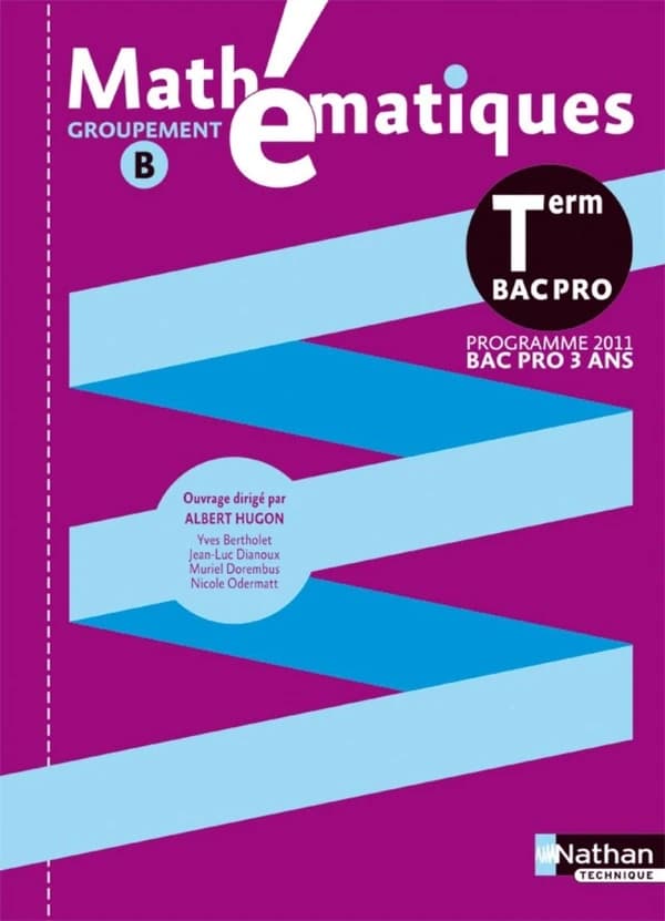 Mathématiques ; terminale bac pro (pochette) ; groupement B ; livre de l'élève (édition 2011)