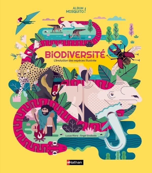 Biodiversité : l'évolution des espèces illustrée