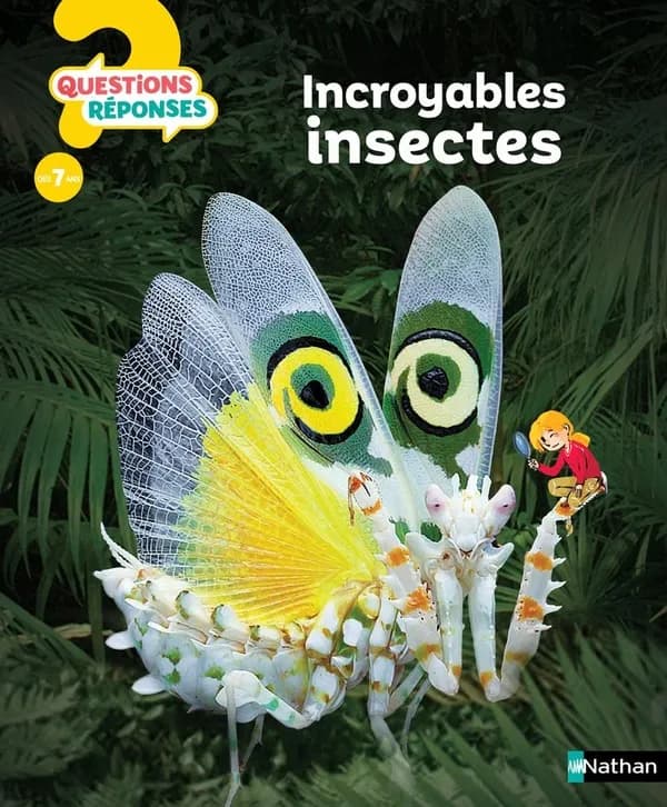 Incroyables insectes ([Nouvelle éd.]) écrit par Amanda O'Neill ; traduit par Marc Duquet