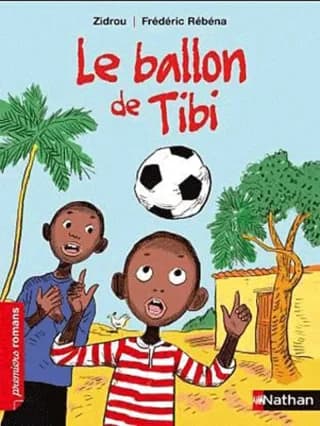 Le ballon de Tibi par Zidrou - LivreZone Maroc