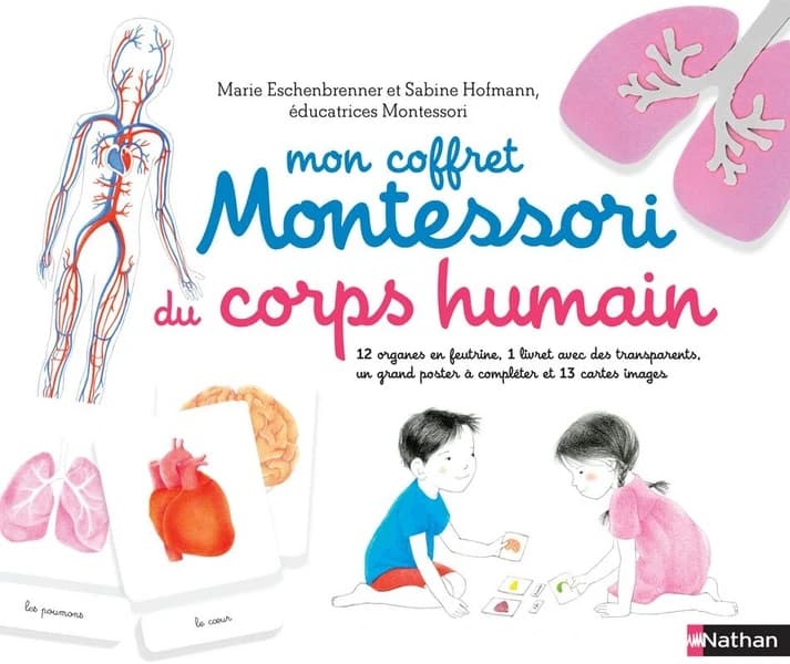 Mon coffret Montessori du corps humain : 12 organes en feutrine, 1 livret avec des transparents, un grand poster à compléter et 13 cartes images