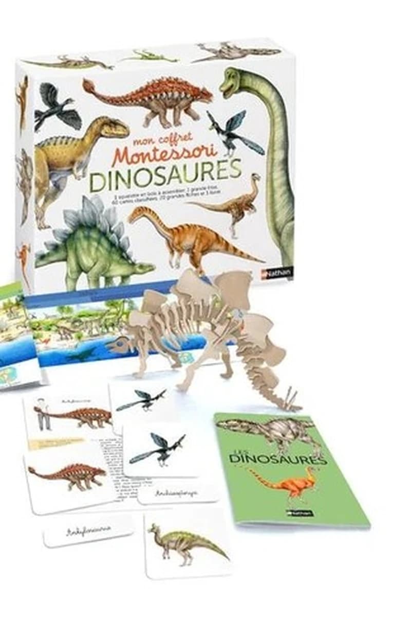 Coffret Montessori des dinosaures : Dés 5 ans : [Carte de fantaisie]
