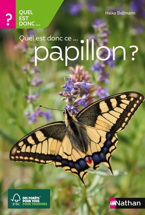 Quel est donc ce papillon ? ([Nouvelle éd.]) Heiko Bellmann ; [traduit de l'allemand par Gérard Luquet]