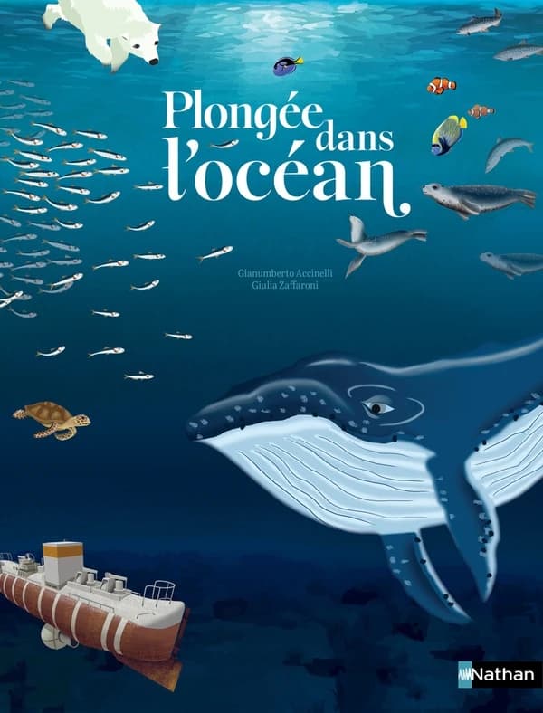 Plongée dans l'océan : un voyage sous-marin de la surface aux abysses