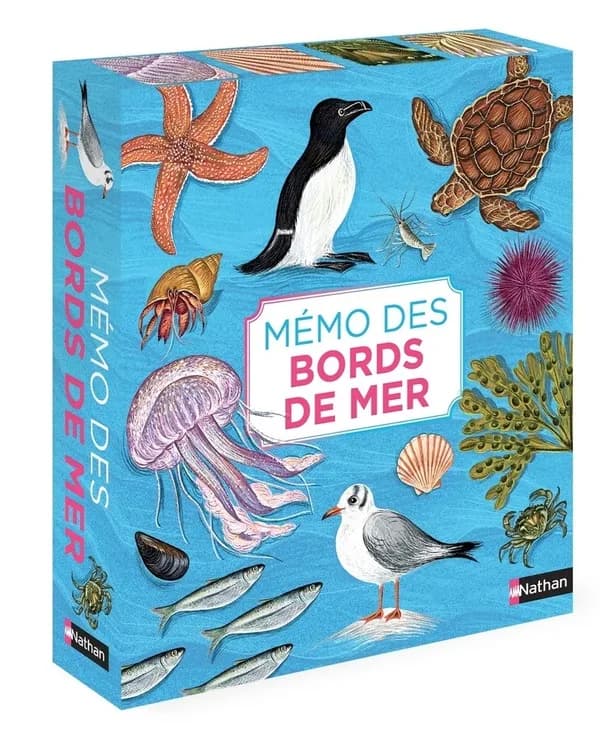 Mémo des bords de mer : un jeu de memory pour apprendre en s'amusant en famille - 4+ : [Carte à jouer]